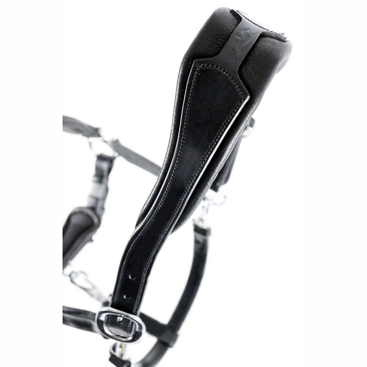 Anatomical Leather Halter F5767