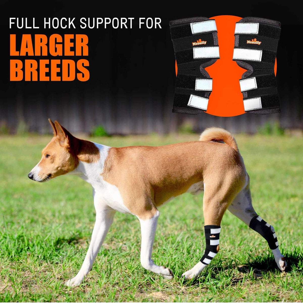 Dog Hind Leg Brace with Reflective Straps T89464