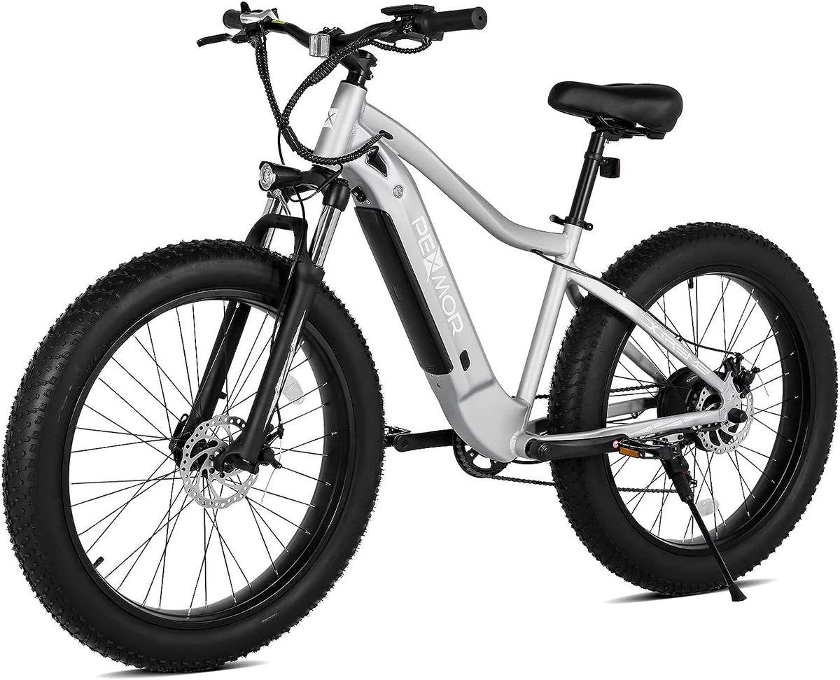 750W 48V 14AH Removable Battery 26" Fat Tire Electric Bike P420