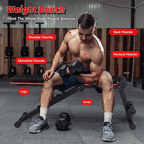 Adjustable Folding Incline Decline Weight Bench with Resistance Band U956139