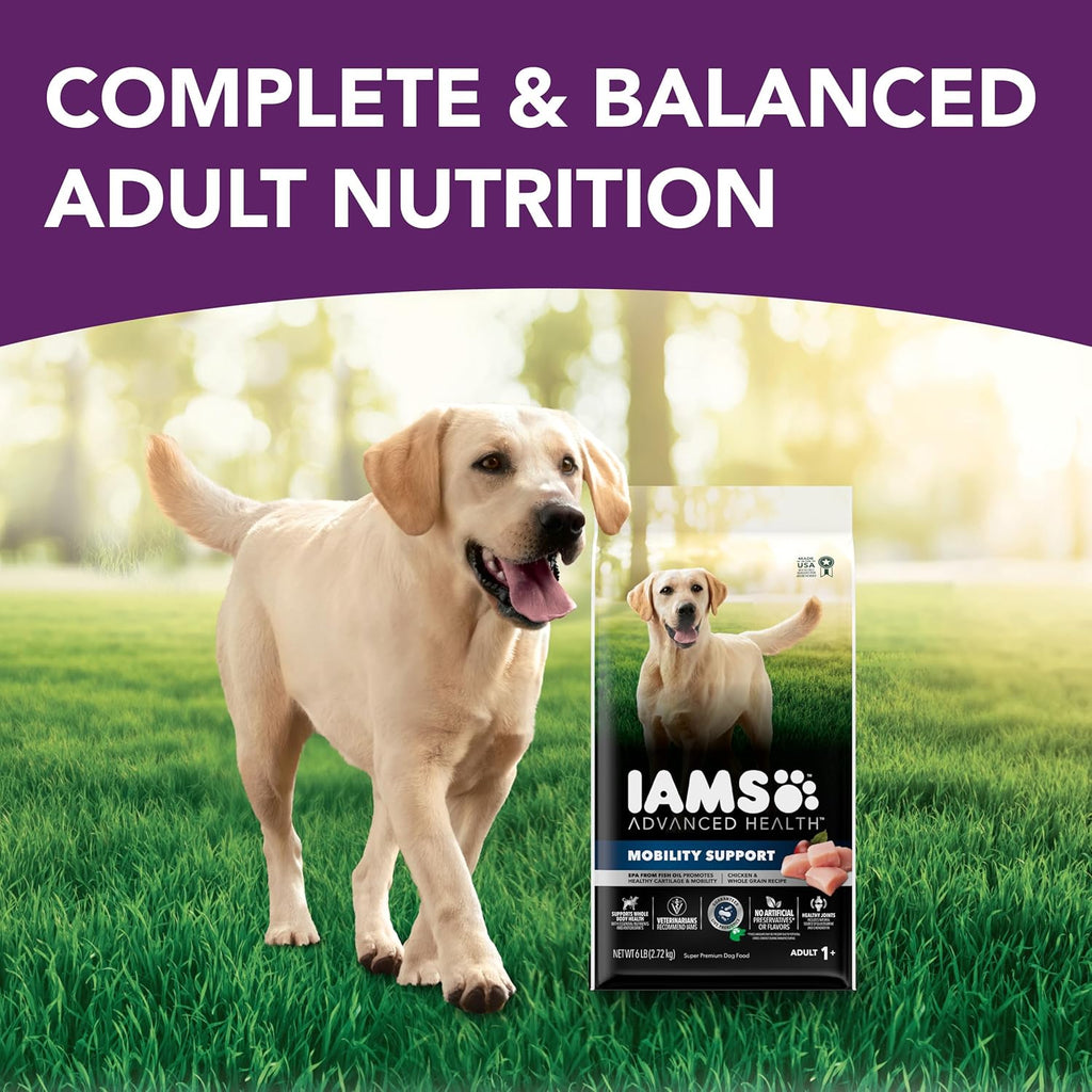 Chicken and Whole Grain Recipe Adult Dry Dog Food, 6 lb. Bag O77345
