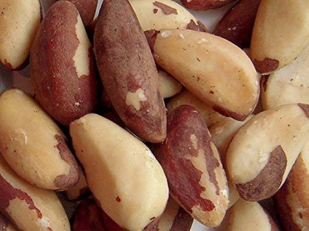 Raw Brazil Nuts X9114