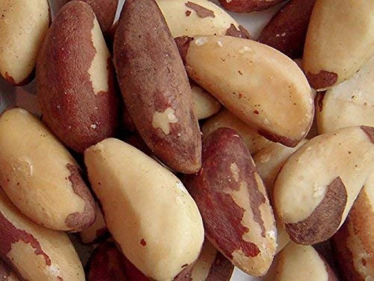 Raw Brazil Nuts X9114