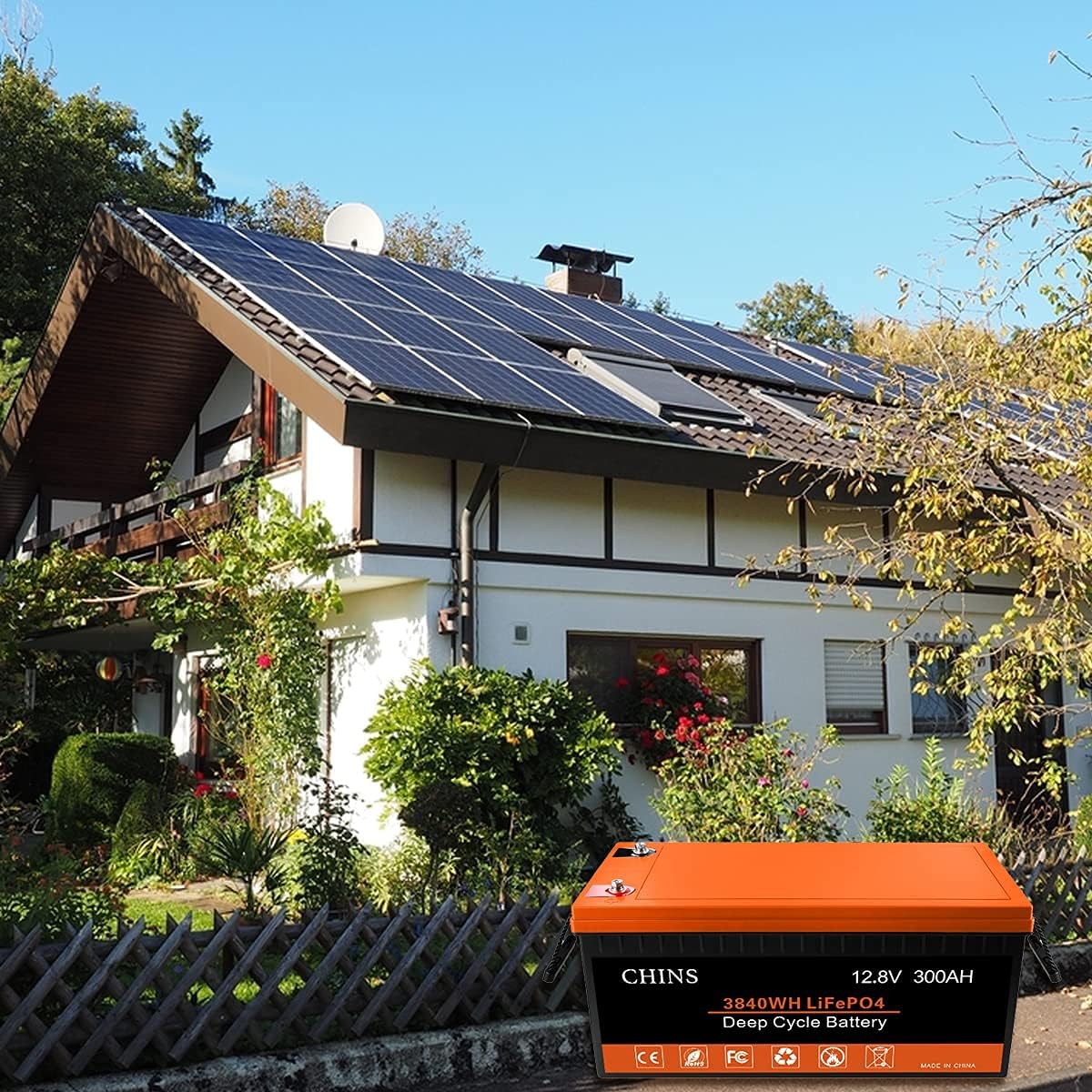 12V 50Ah LiFePO4 Battery with 50A BMS I720