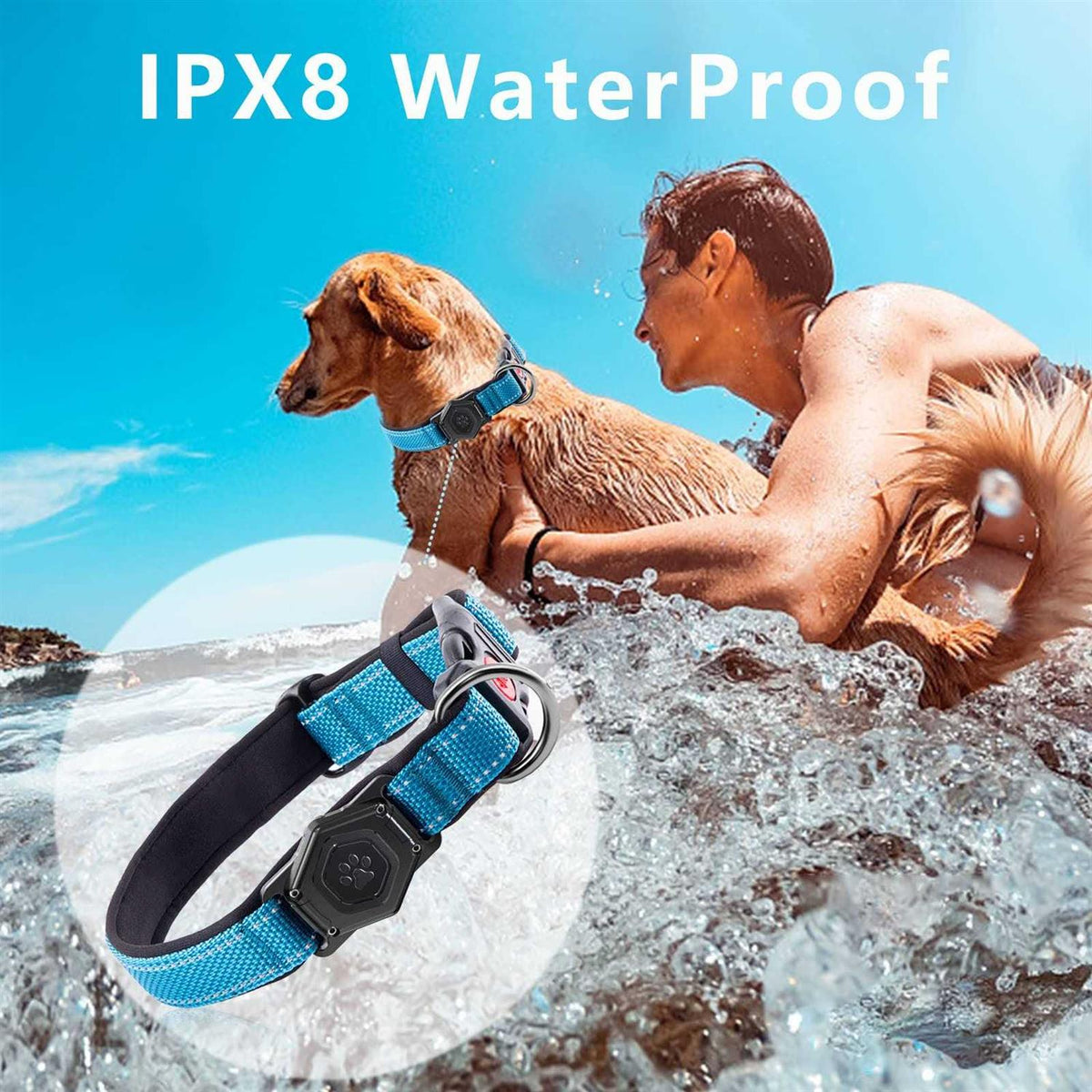 Waterproof Apple Air Tag Holder Dog Collar I397648