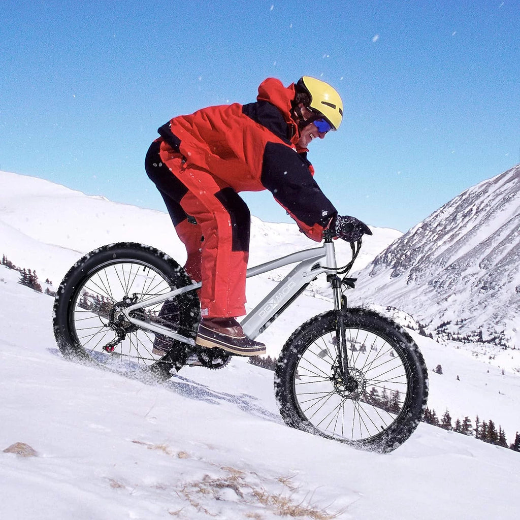750W 48V 14AH Removable Battery 26" Fat Tire Electric Bike P420