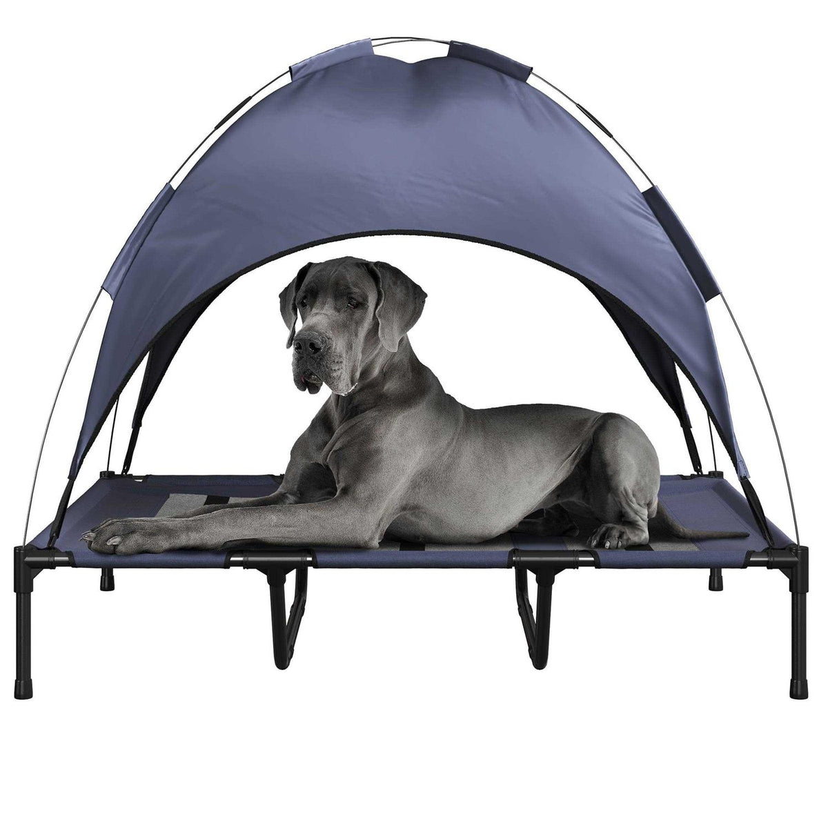 Elevated Dog Bed with Canopy Z632