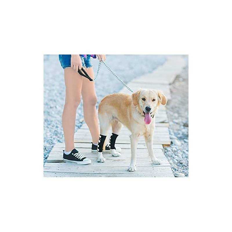 Dog Hind Leg Brace with Reflective Straps T89464