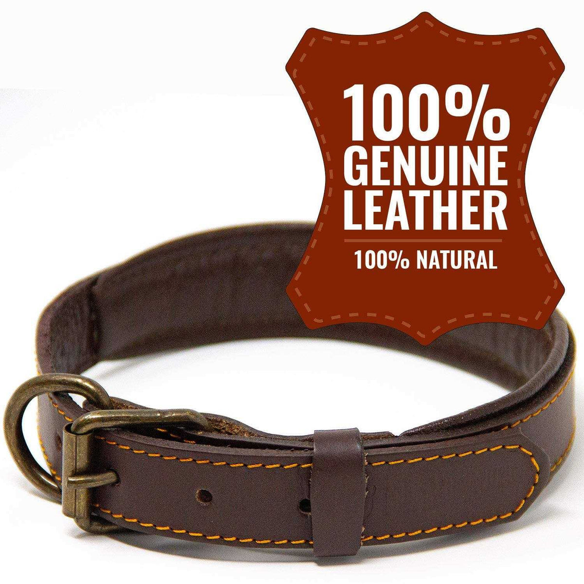 Padded Full Grain Leather Dog Collar Y5886