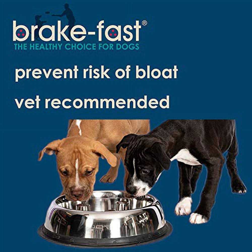 Stainless Steel Dog Bowl C6440