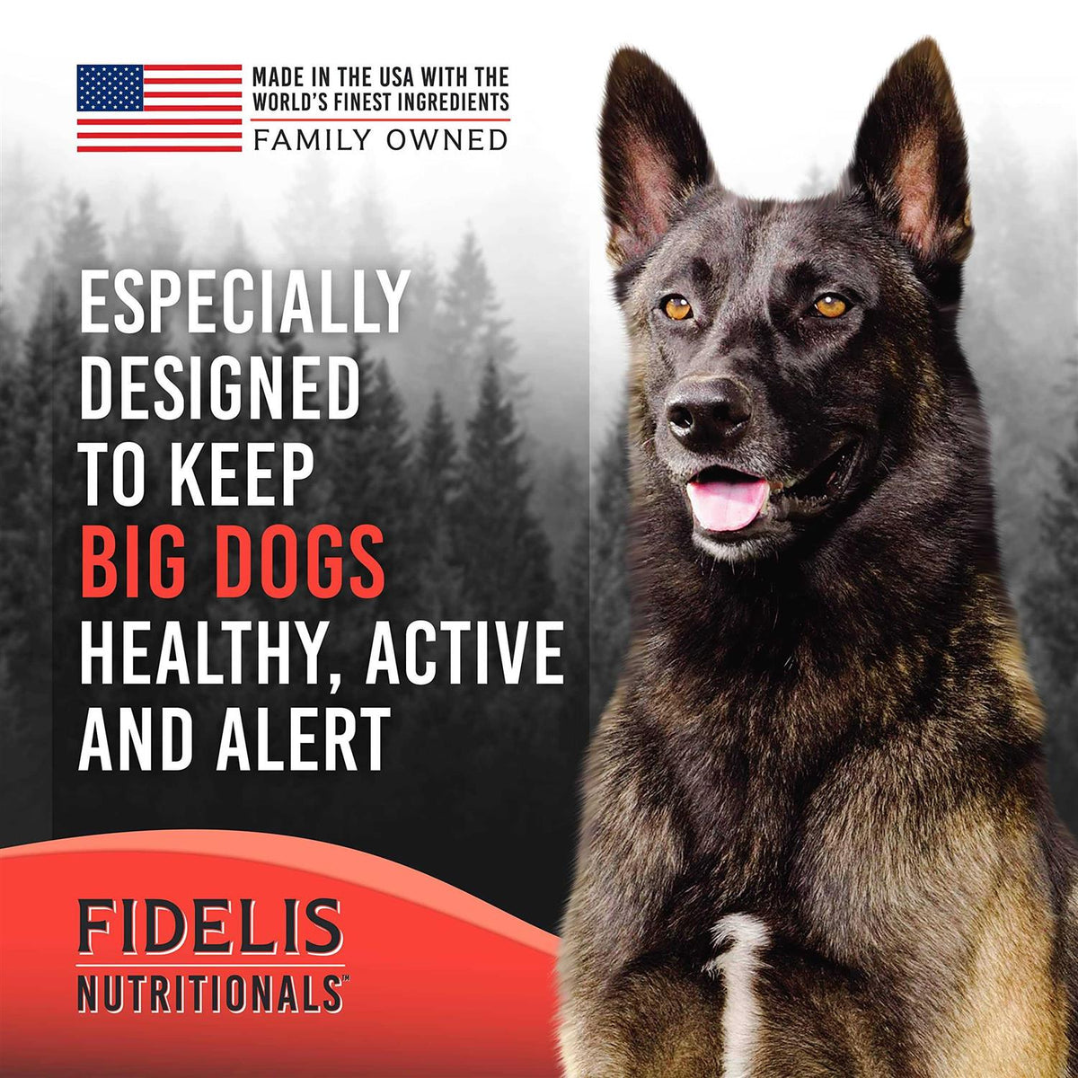 Freeze Dried Dog Food O35863
