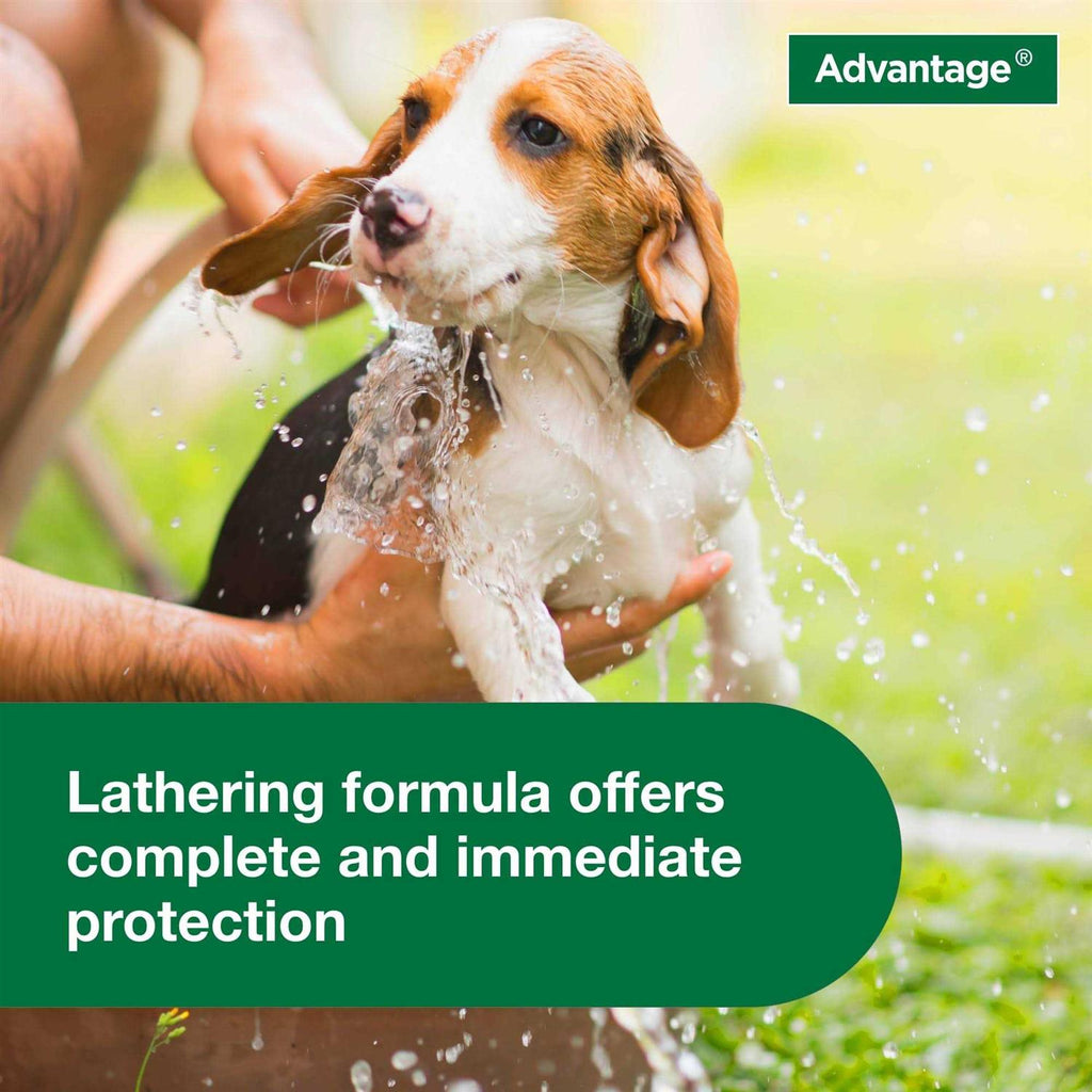 Flea & Tick Treatment Shampoo for Dogs & Puppies F436997