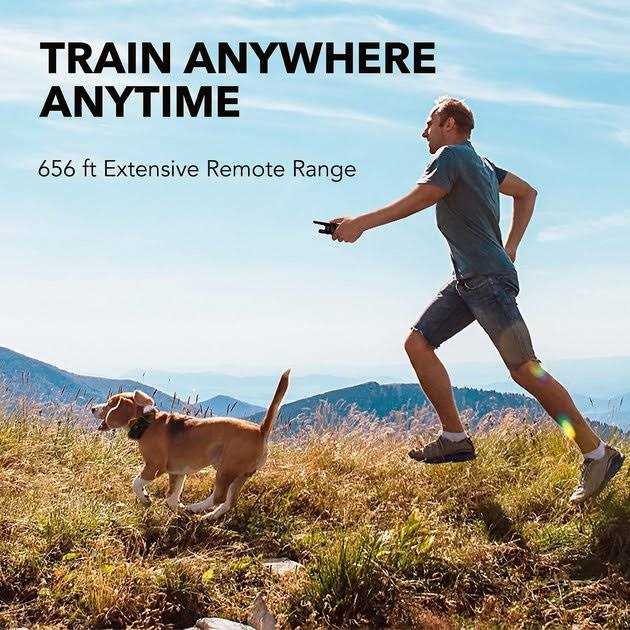 Dog Training System D196086
