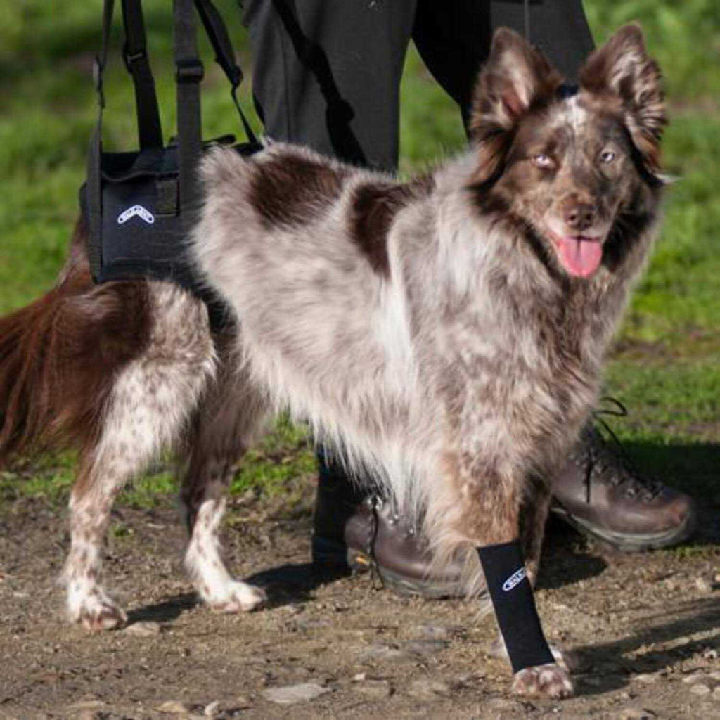Support Harness T528505