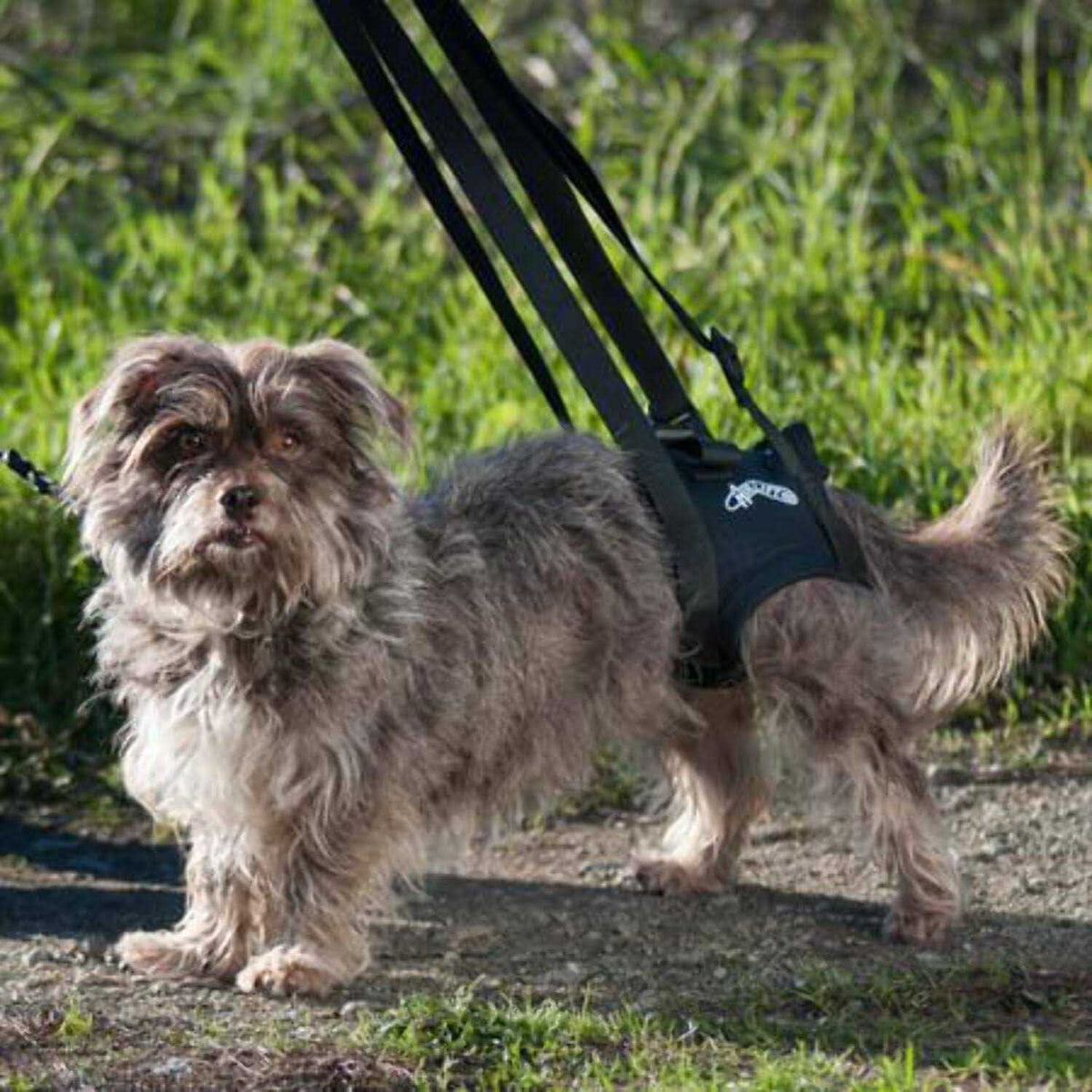 Support Harness T528505