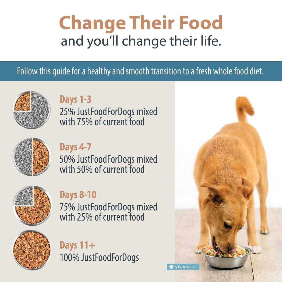 Frozen Fresh Dog Food M307744