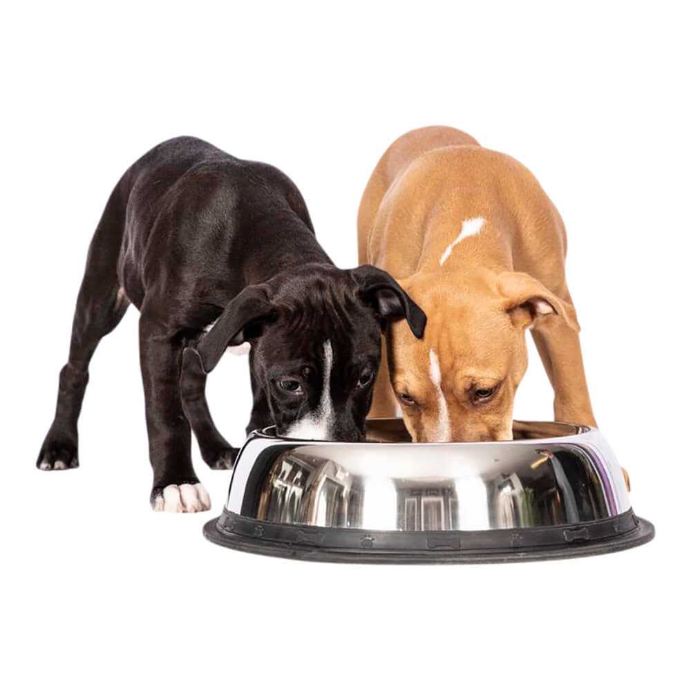 Stainless Steel Dog Bowl C6440