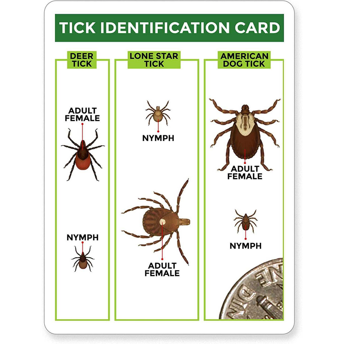 3 Pack Tick Remover Tools + Tick Identification Card L151