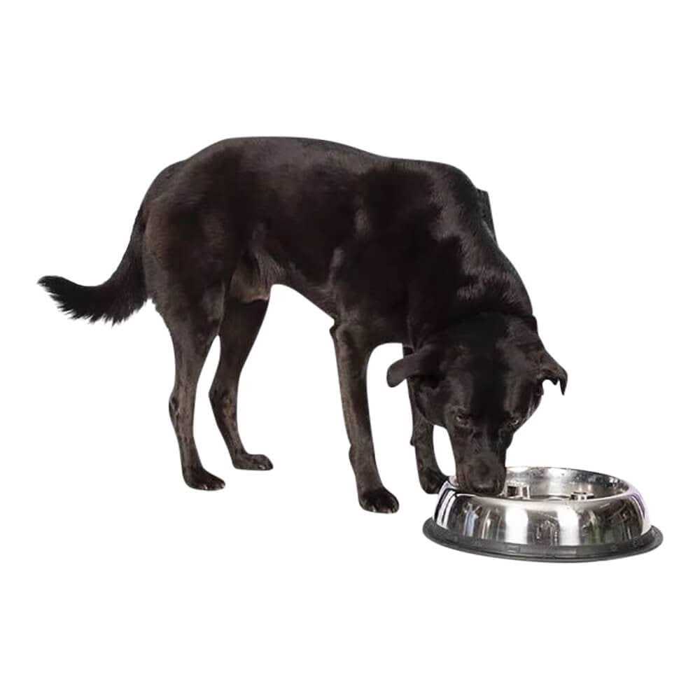 Stainless Steel Dog Bowl C6440