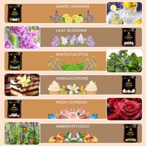 6 Pack Soy Scented Candles 21 oz Jar W2160