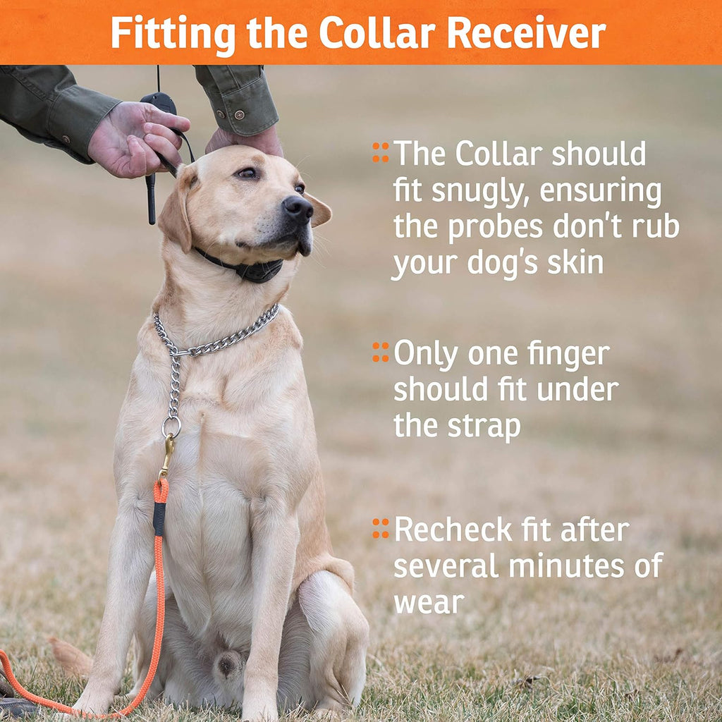 Rechargeable Waterproof Bark Collar D6455