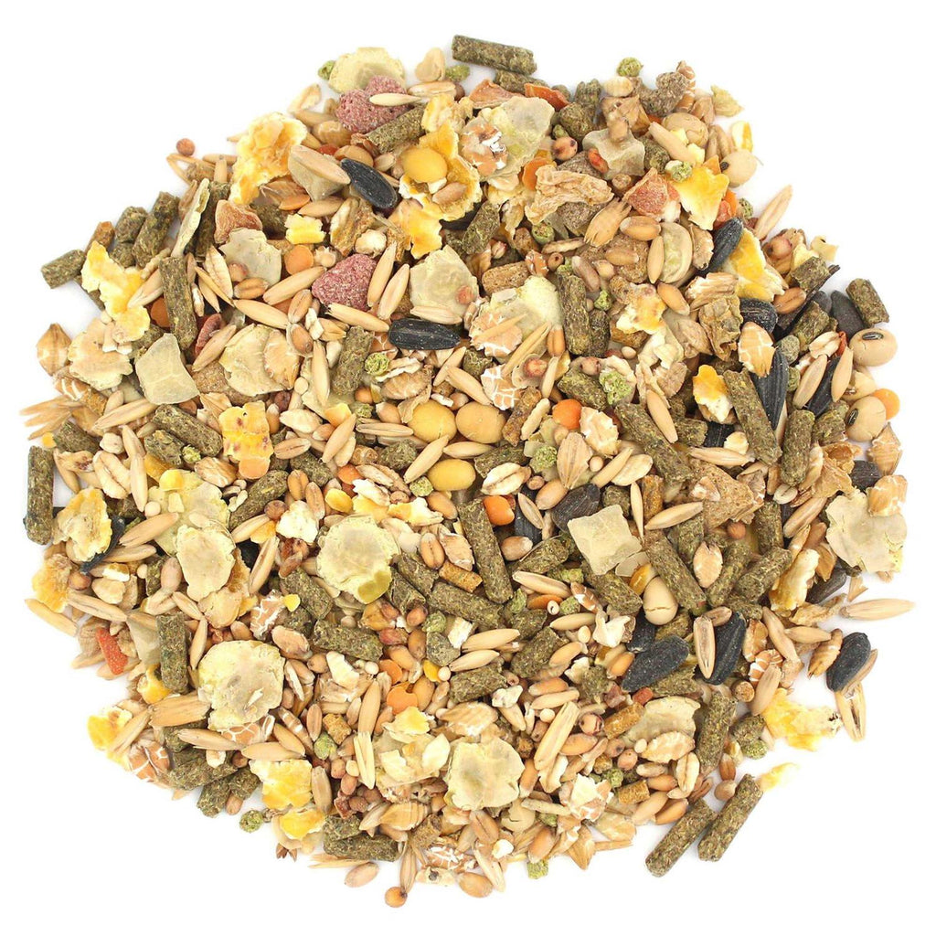 Dwarf Hamster Food V511041