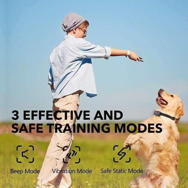 Dog Training System D196086