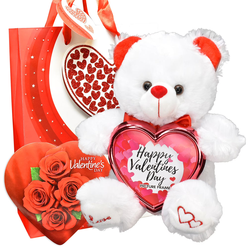 Teddy Bear Picture Frame Gift Bag V89891