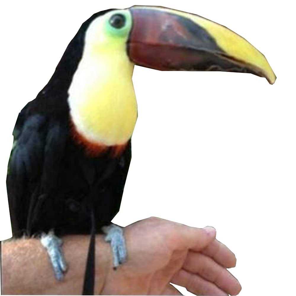 Adjustable Bird Harness and Leash W48544
