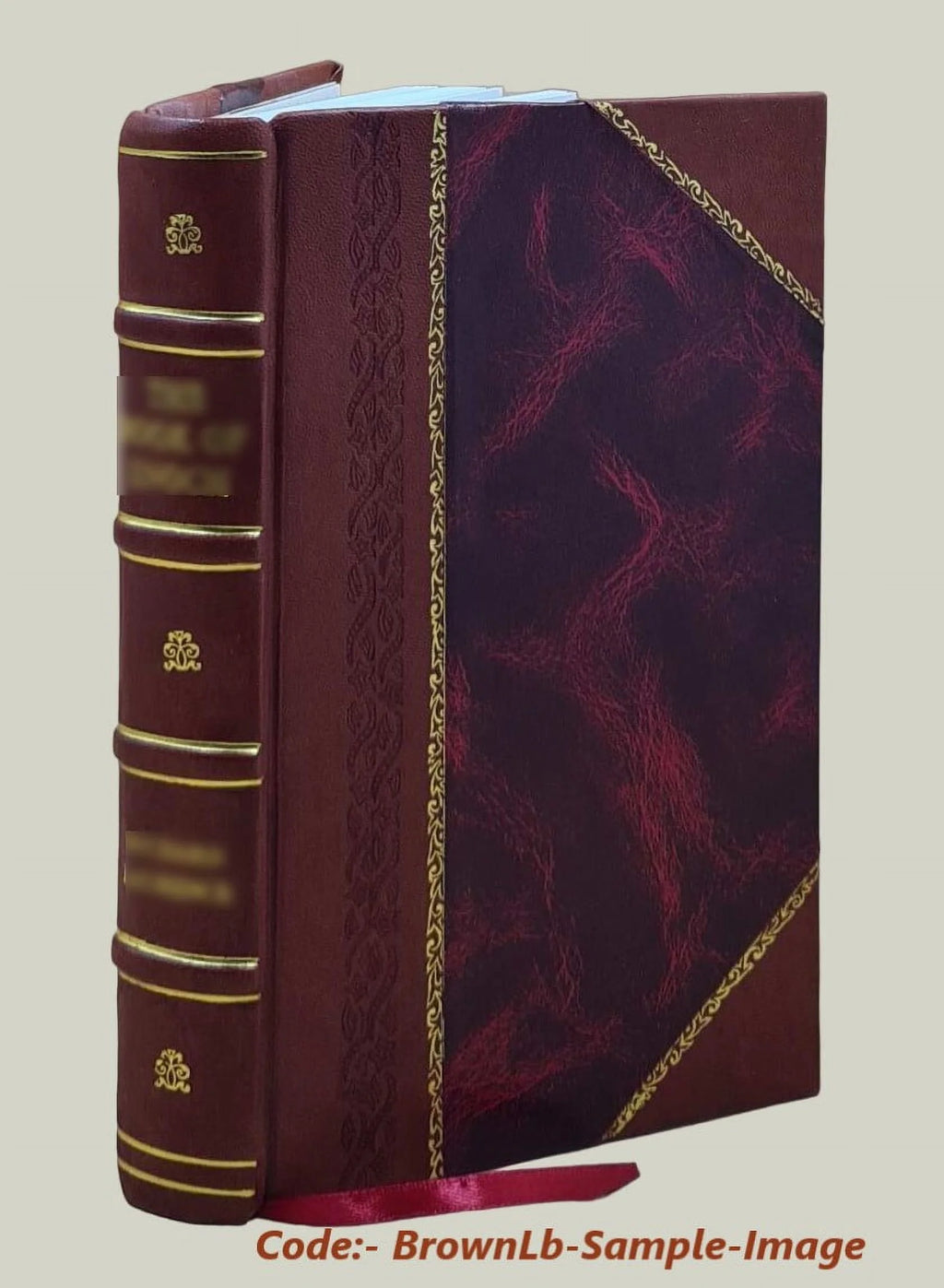 Electric Interlocking Handbook Leather Bound N192