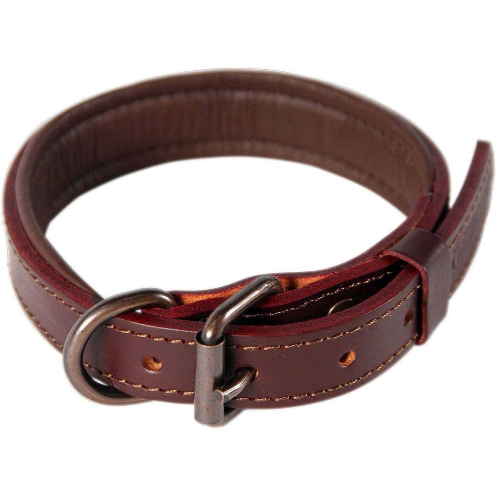Padded Full Grain Leather Dog Collar Y5886