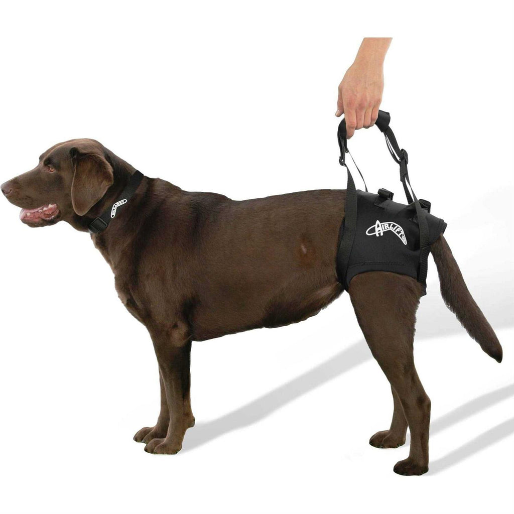 Support Harness T528505