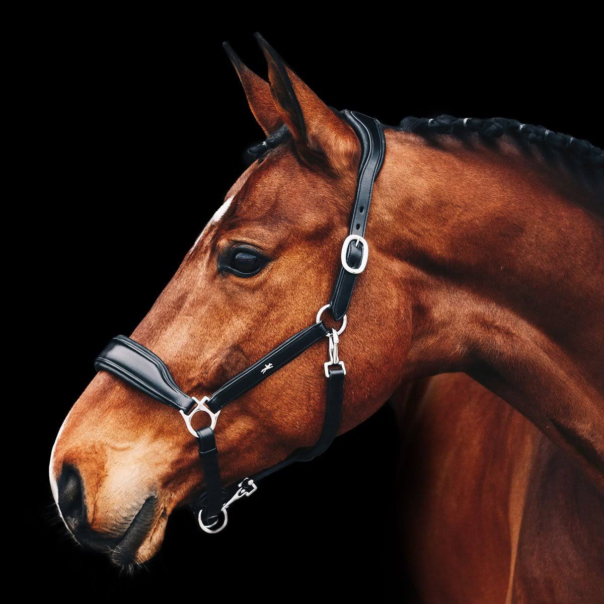 Anatomical Leather Halter F5767