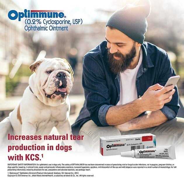 Ophthalmic Ointment for Dogs I6054