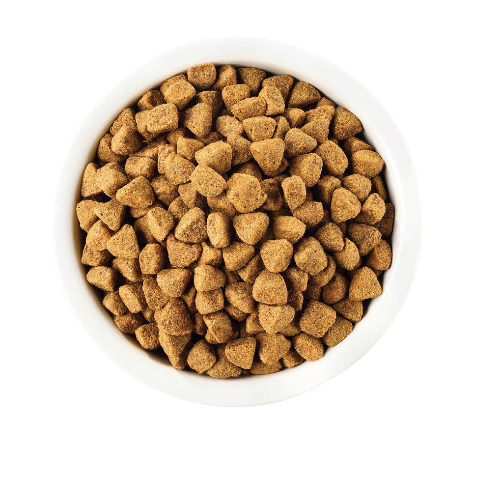 Whitefish & Sweet Potato Dry Dog Food C8079