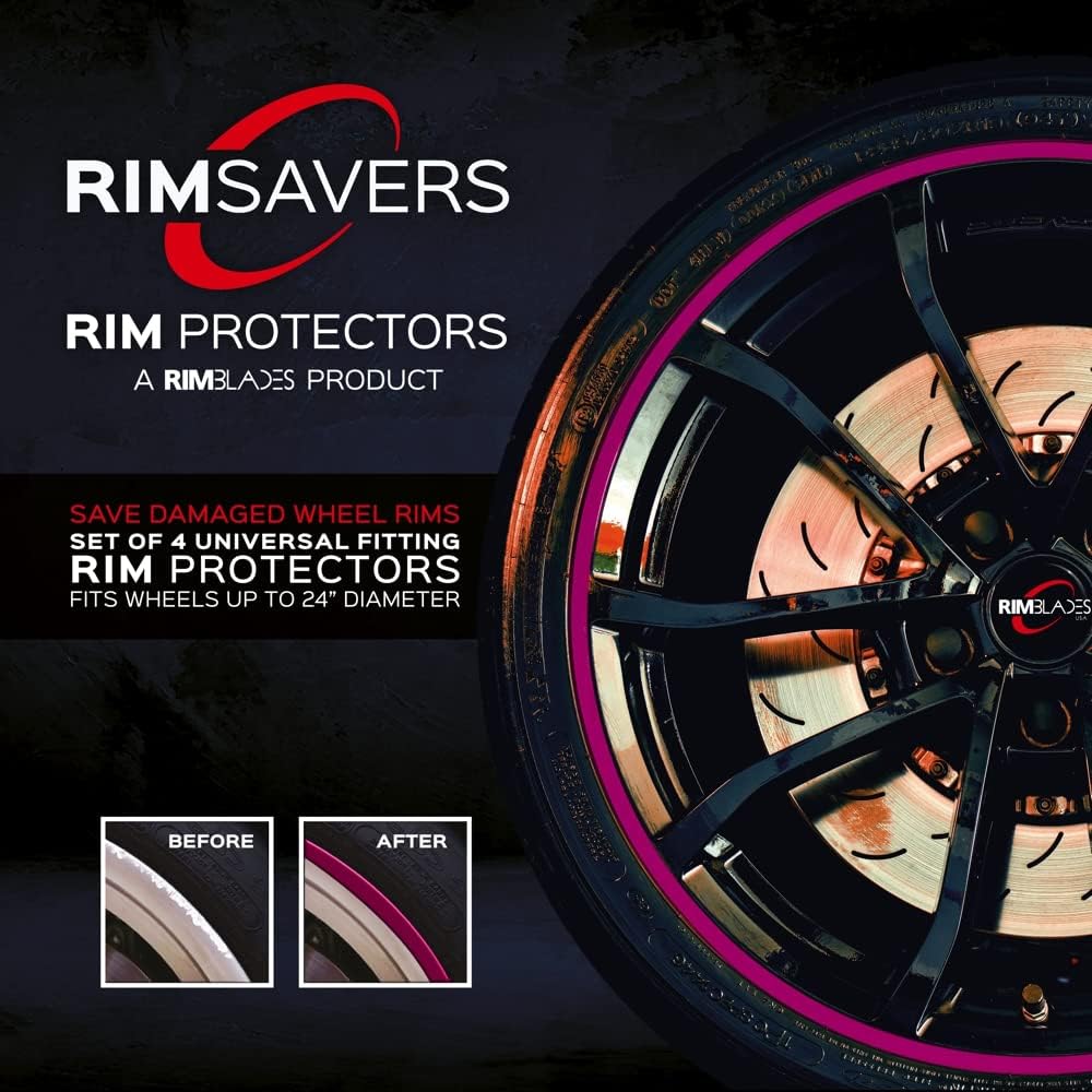 Silver Wheel Rim Protectors Set of 4 X395585