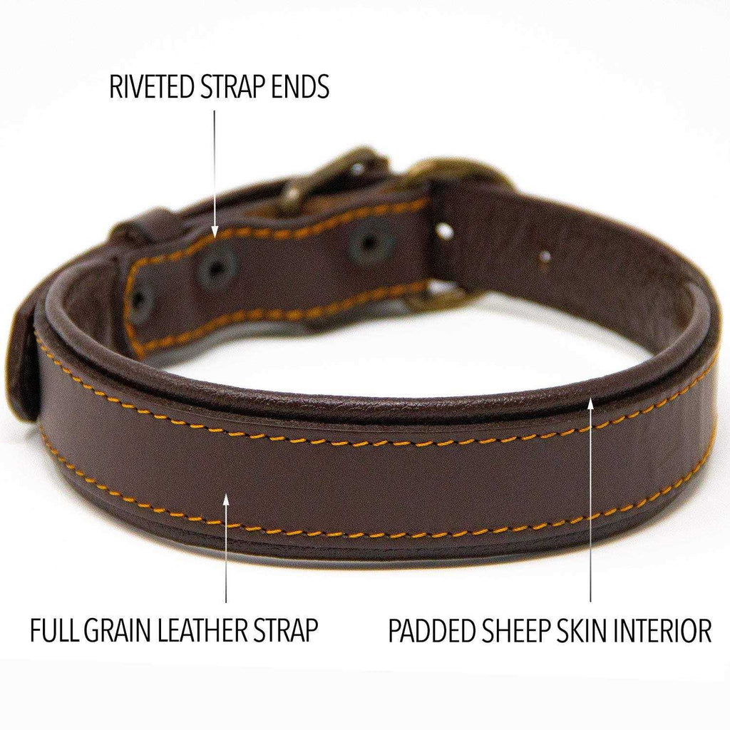 Padded Full Grain Leather Dog Collar Y5886