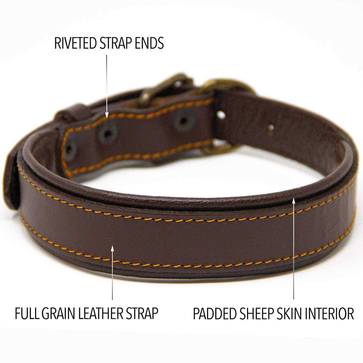 Padded Full Grain Leather Dog Collar Y5886