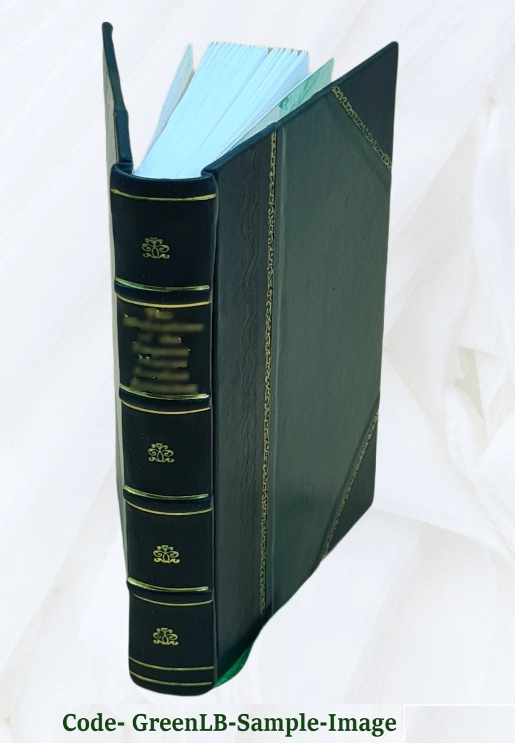 Leather Bound I5694